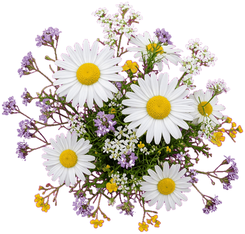 Wildflowers